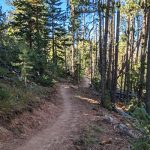 New and/or Improved Natural Surface Trails